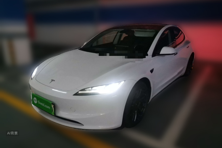 Tesla Model 3 2023 immagine di auto #2