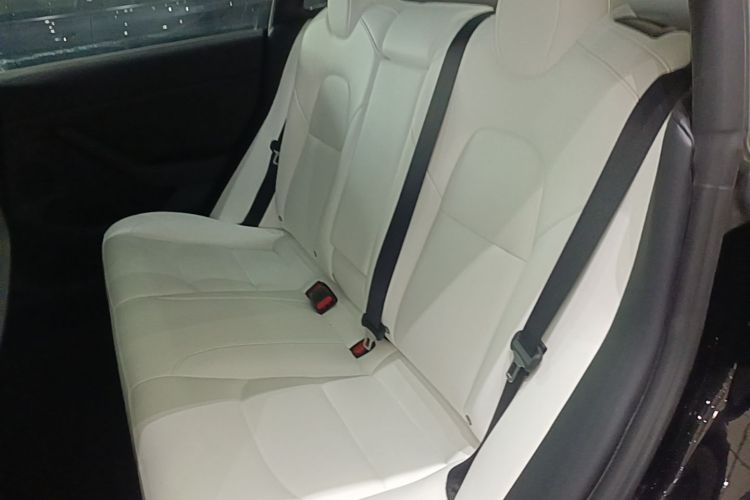 Tesla Model 3 2022 car image #17