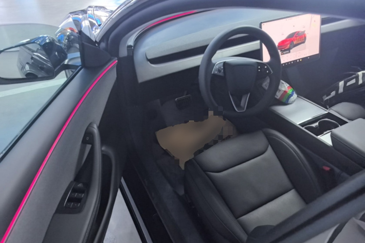 Tesla Model 3 2025 car image #16