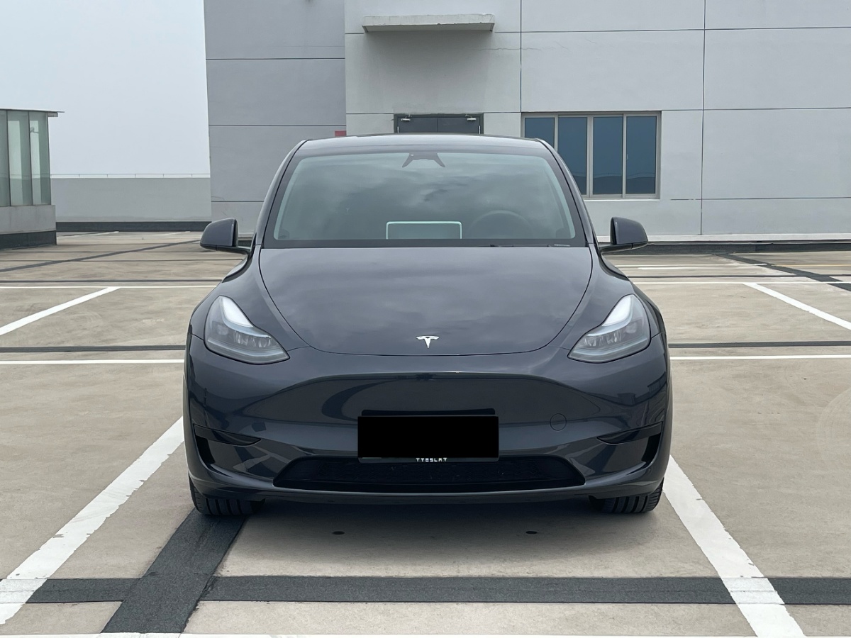 Tesla Model Y 2024 #5 Tesla Model Y 2024 car image #5