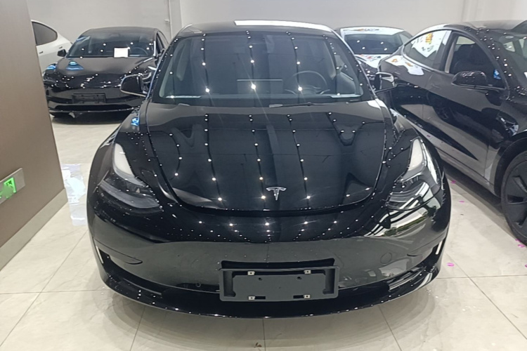 Tesla Model 3 2023 #3 Tesla Model 3 2023 car image #3