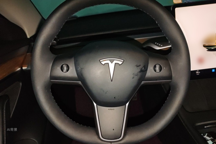 Tesla Model 3 2022 #12 Tesla Model 3 2022 car image #12