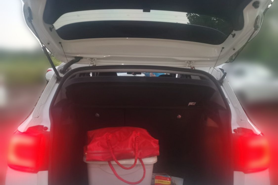 Volkswagen Tacqua 2021 car image #8
