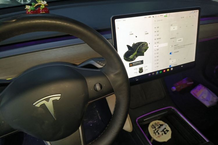 Tesla Model 3 2021 #14 Tesla Model 3 2021 car image #14