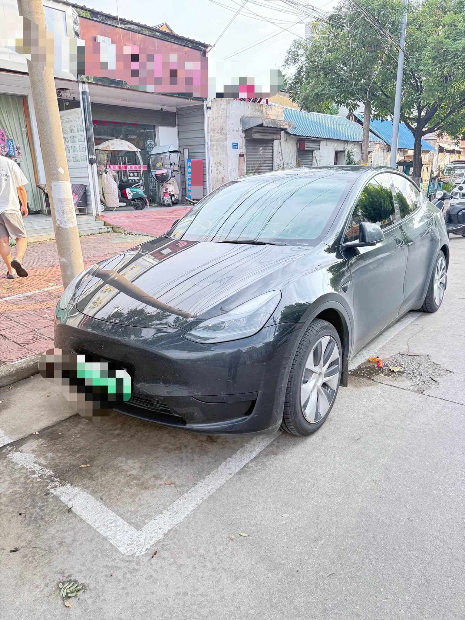 Tesla Model Y 2023 Tesla Model Y 2023 car image