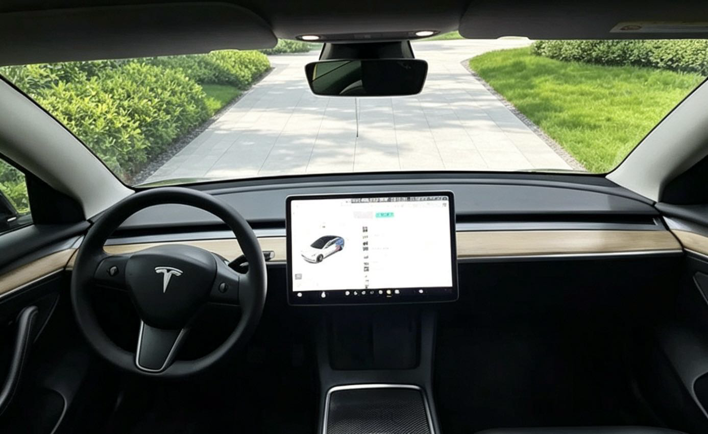 Tesla Model 3 2021 #5 Tesla Model 3 2021 car image #5