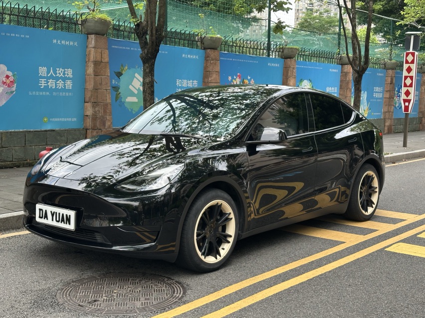 Tesla Model Y 2022 Tesla Model Y 2022 car image