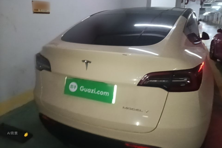 Tesla Model Y 2021 car image #6