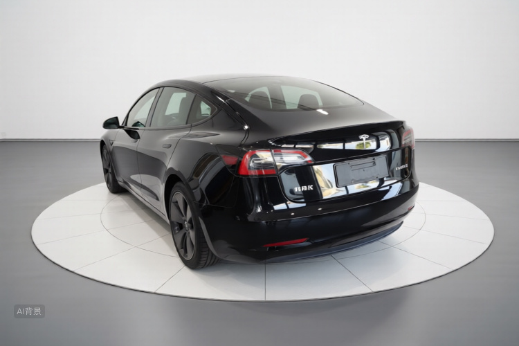 Tesla Model 3 2022 immagine di auto #5