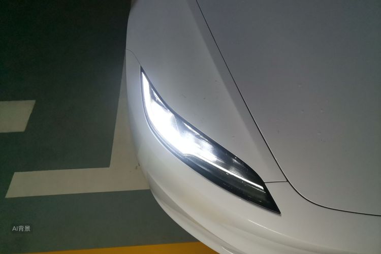Tesla Model 3 2023 immagine di auto #8