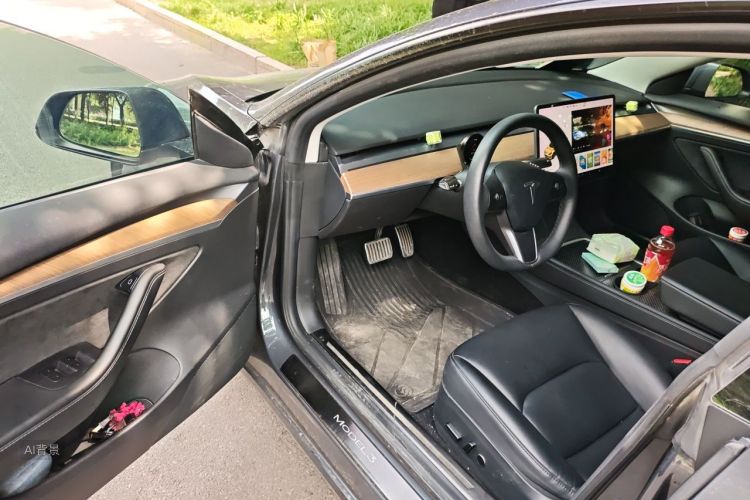 Tesla Model 3 2021 #18 Tesla Model 3 2021 car image #18