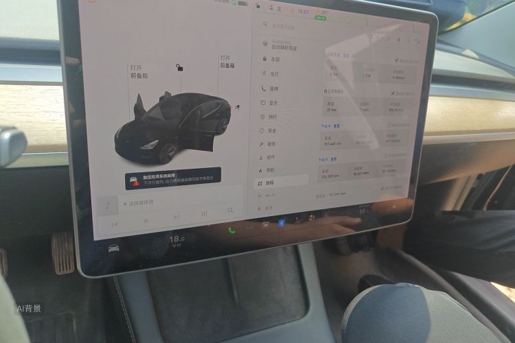 Tesla Model 3 2021 immagine di auto #13