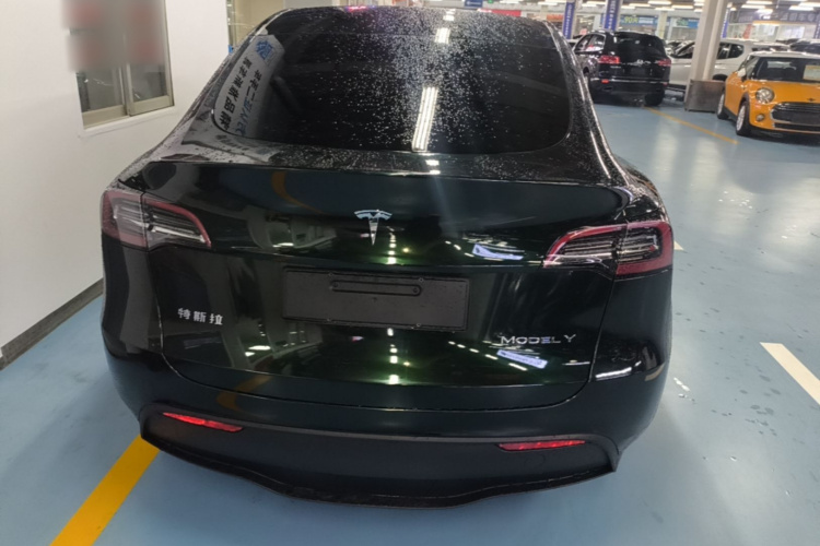 Tesla Model Y 2023 #6 Tesla Model Y 2023 car image #6
