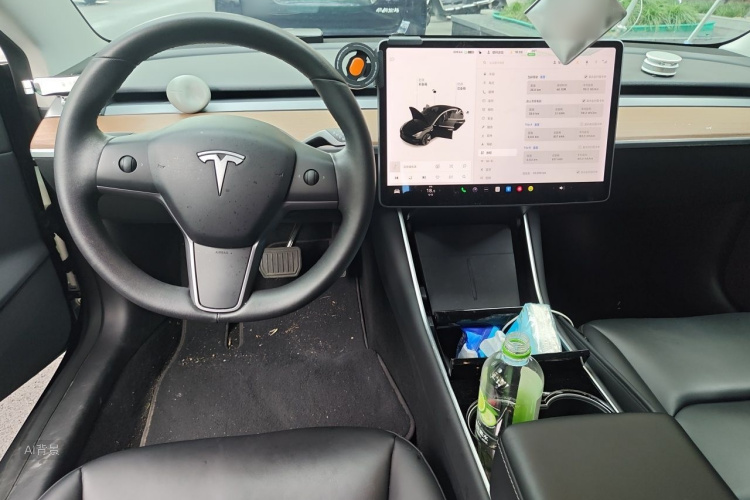 Tesla Model 3 2020 car image #11