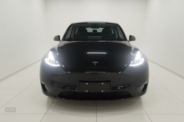 Tesla Model Y 2022 car image #3