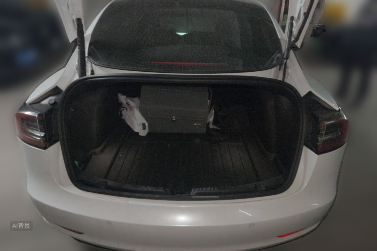 Tesla Model 3 2021 #21 Tesla Model 3 2021 car image #21