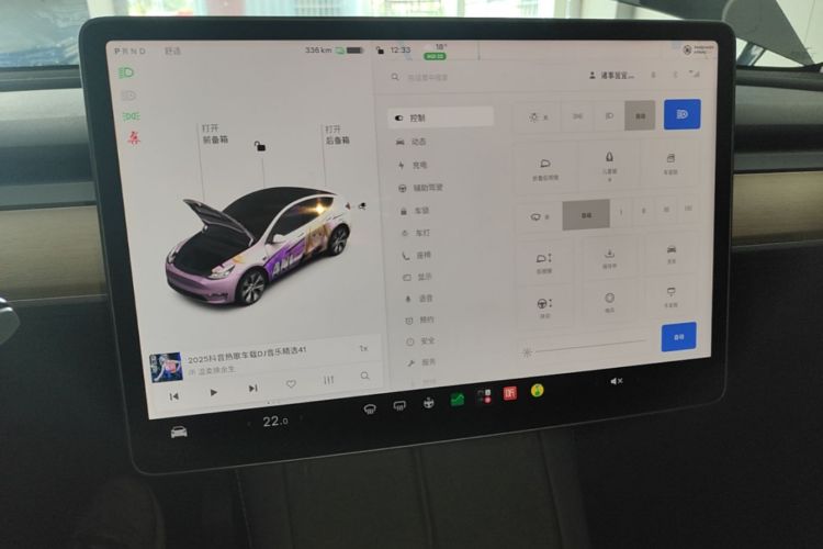 Tesla Model Y 2021 car image #13