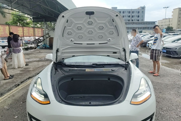 Tesla Model 3 2020 car image #20