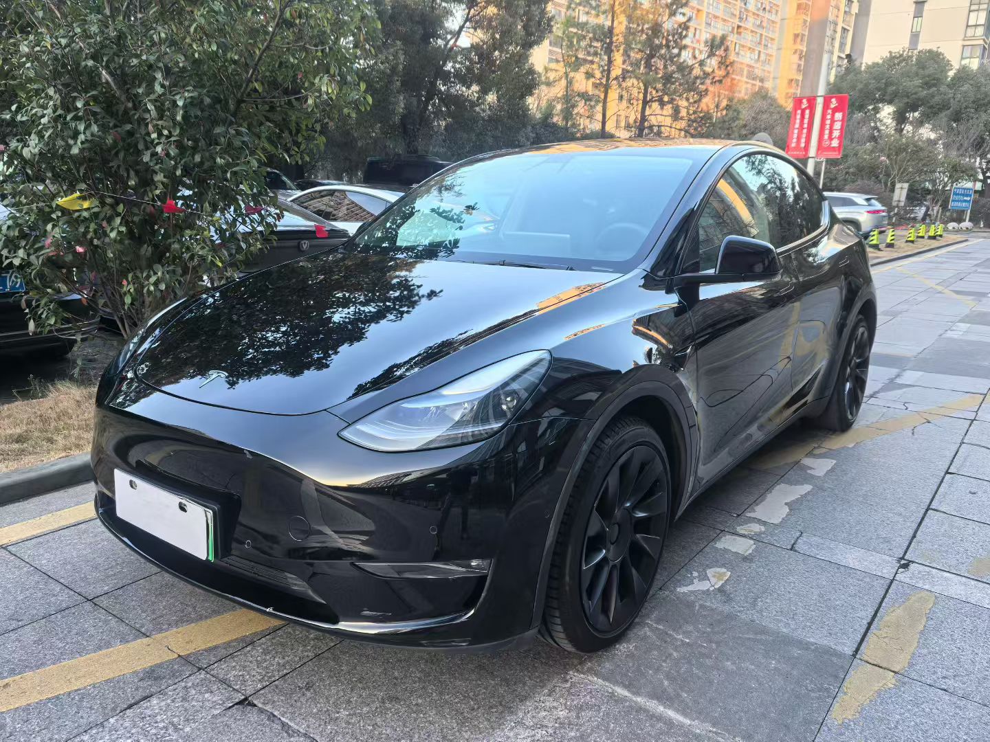 Tesla Model Y 2021 car image 