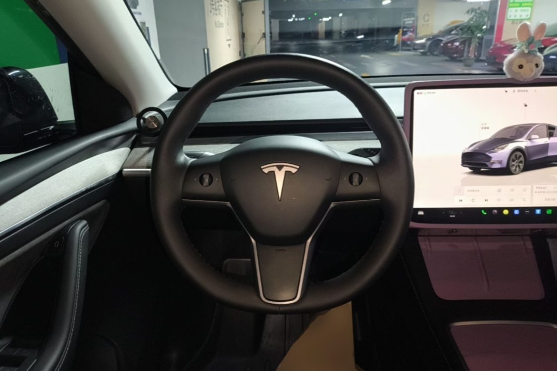 Tesla Model Y 2024 #16 Tesla Model Y 2024 car image #16