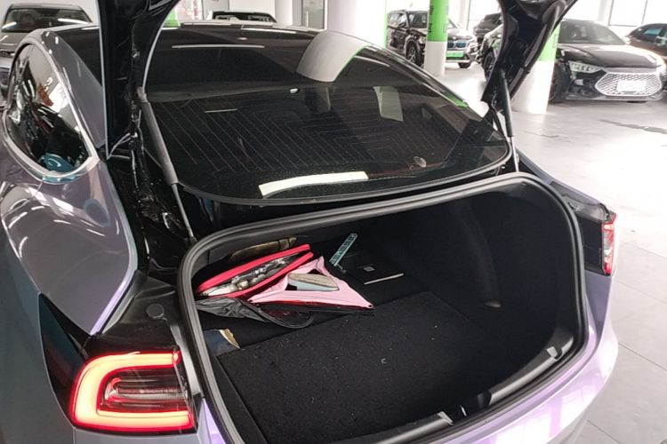 Tesla Model 3 2020 car image #19
