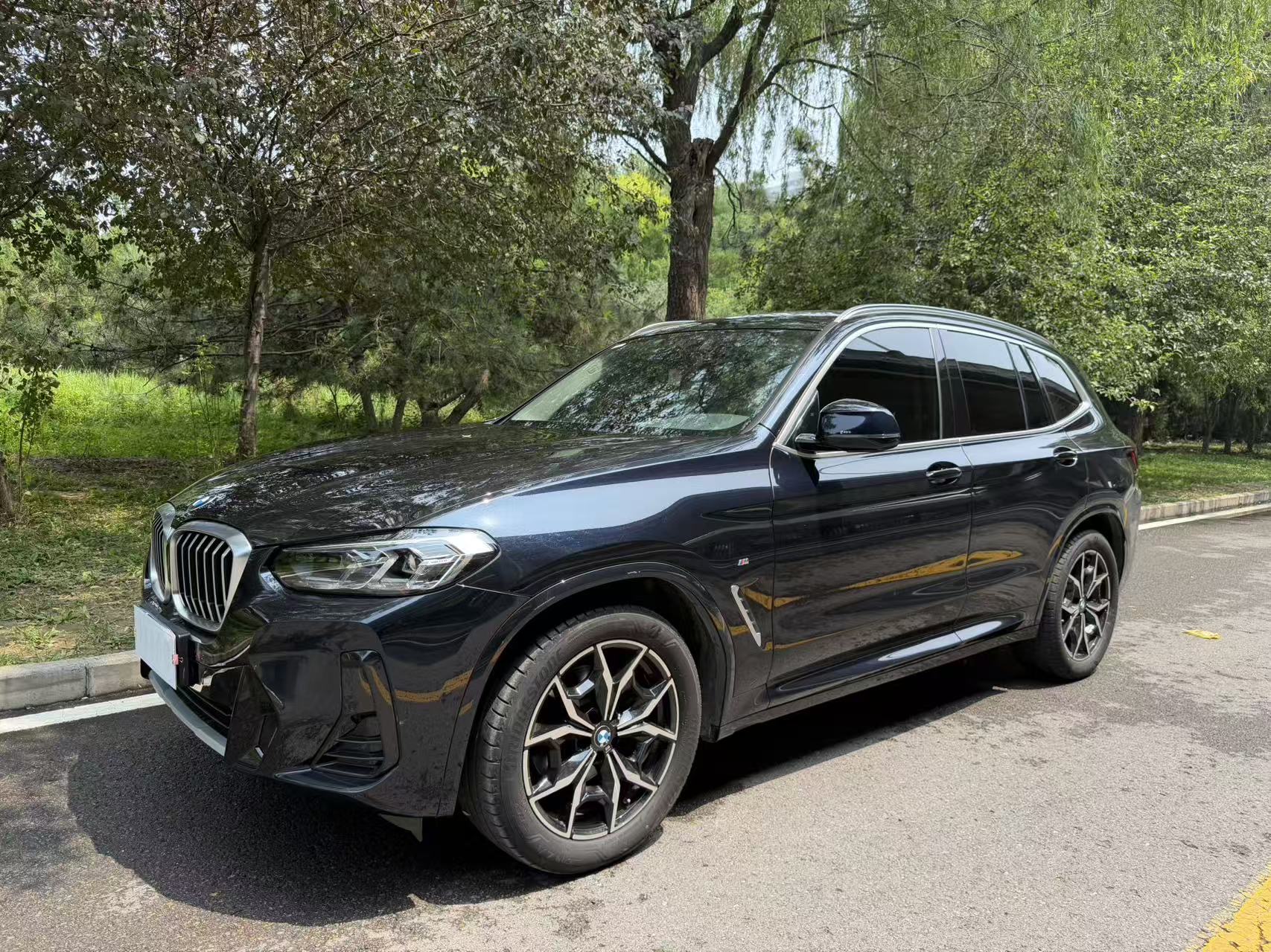 BMW X3 2024 car image 