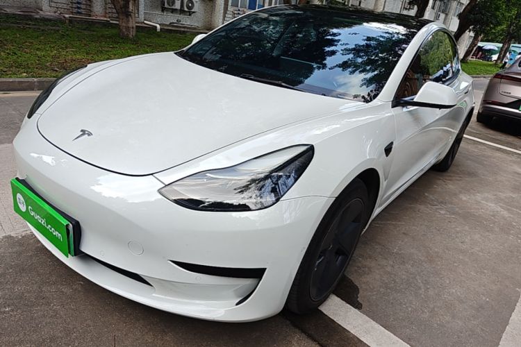 Tesla Model 3 2021 #2 Tesla Model 3 2021 car image #2