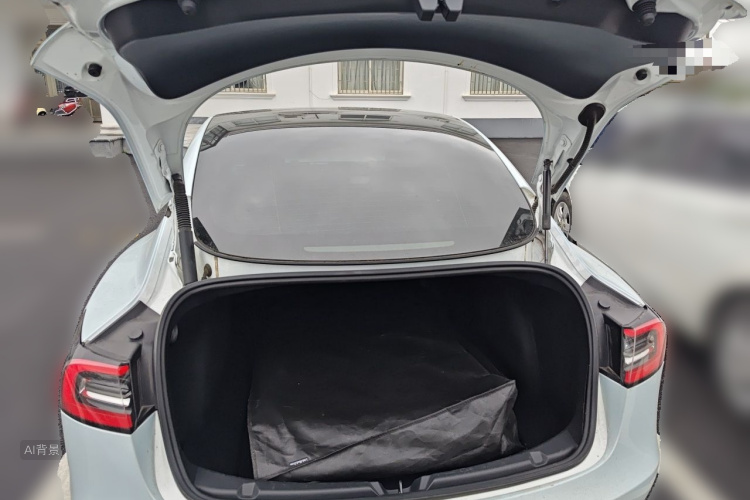 Tesla Model 3 2021 #21 Tesla Model 3 2021 car image #21