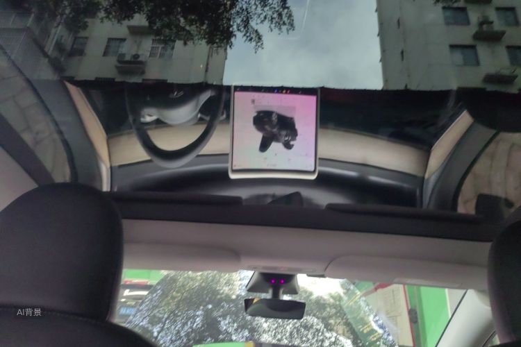 Tesla Model Y 2022 car image #20