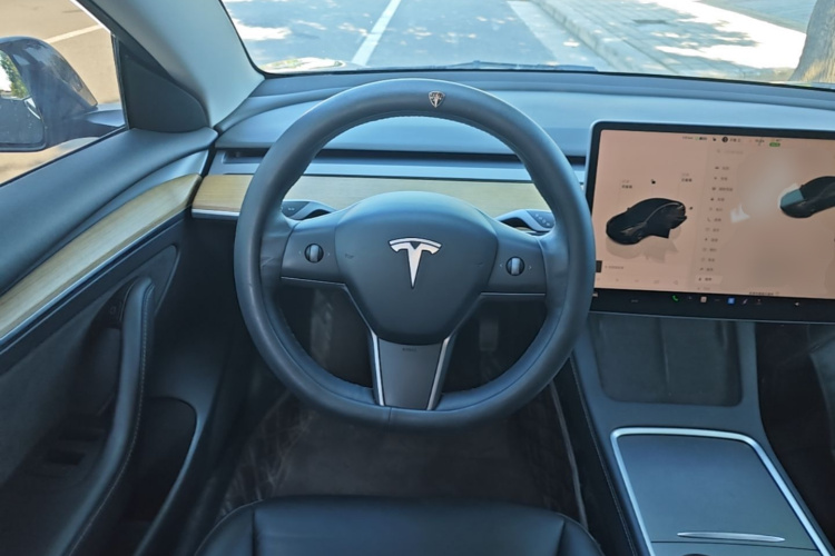 Tesla Model 3 2022 car image #15