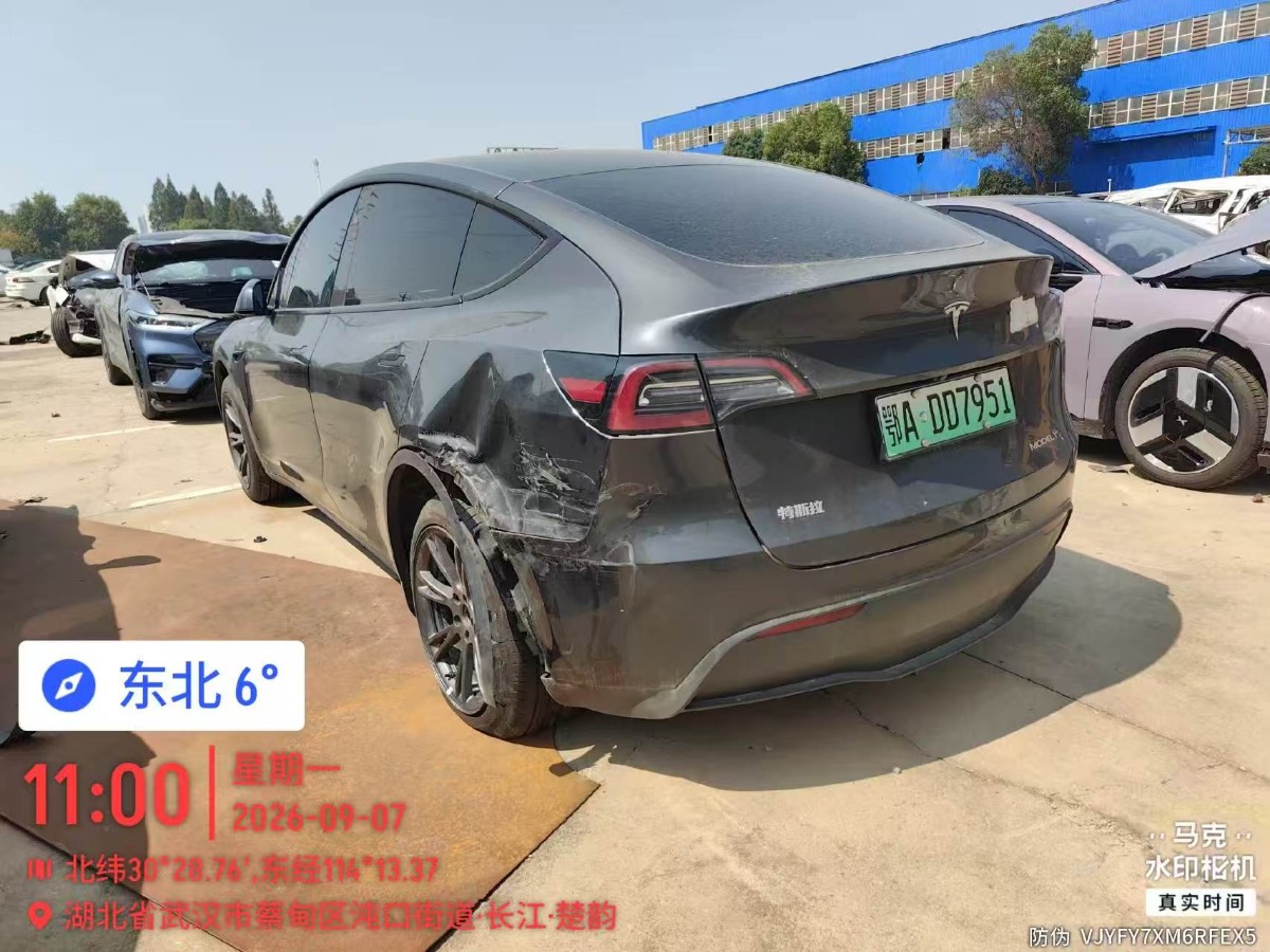 Tesla Model Y 2025 #11 Tesla Model Y 2025 car image #11