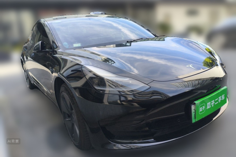 Tesla Model 3 2021 car image #4