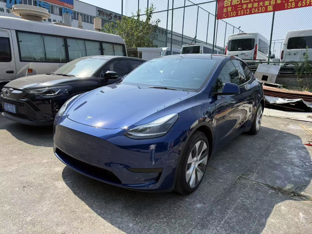 Tesla Model Y 2023 Tesla Model Y 2023 car image