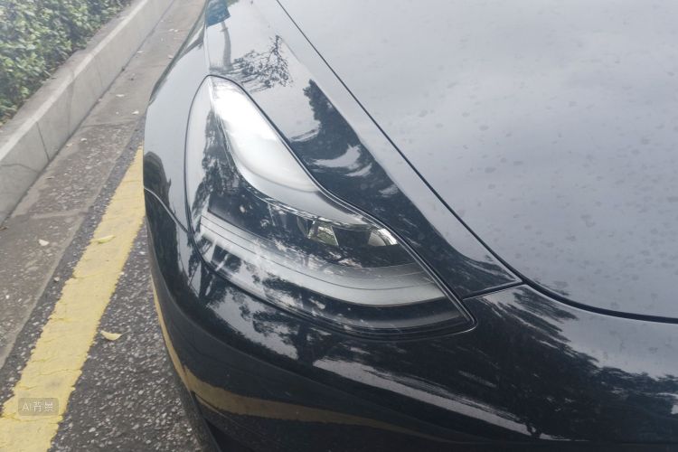 Tesla Model 3 2021 #8 Tesla Model 3 2021 car image #8