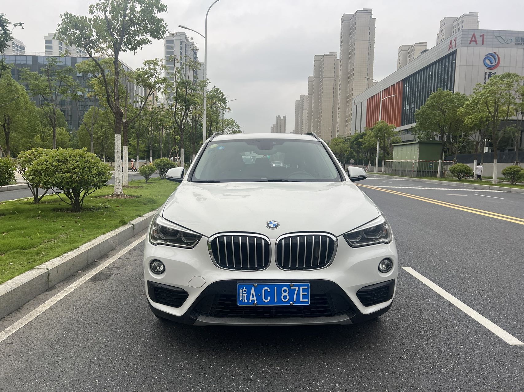 BMW X1 2016 car image #2