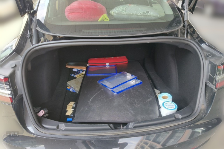 Tesla Model 3 2021 car image #21