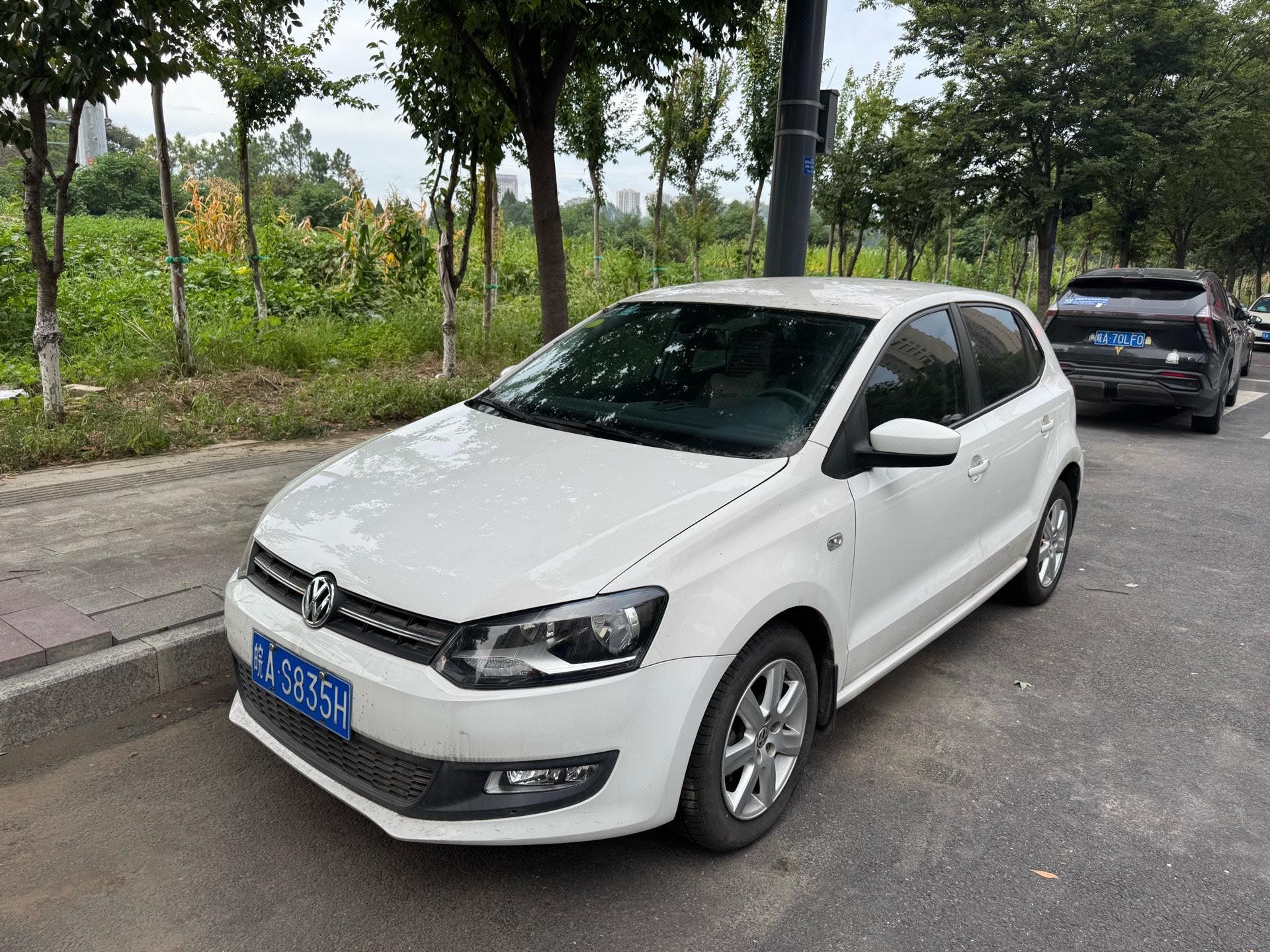 Volkswagen Polo 2014 Volkswagen Polo 2014 car image