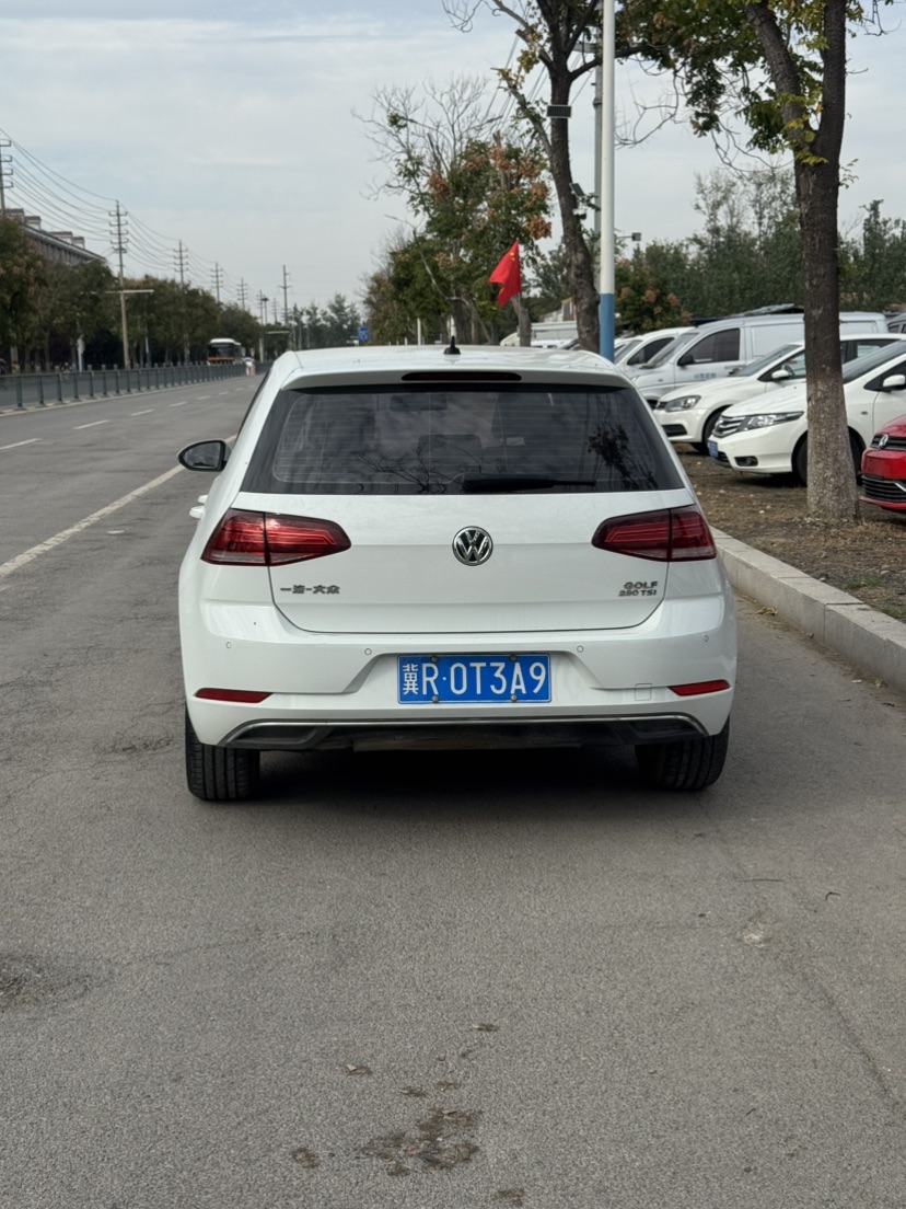 Volkswagen Golf 2020 car image #4