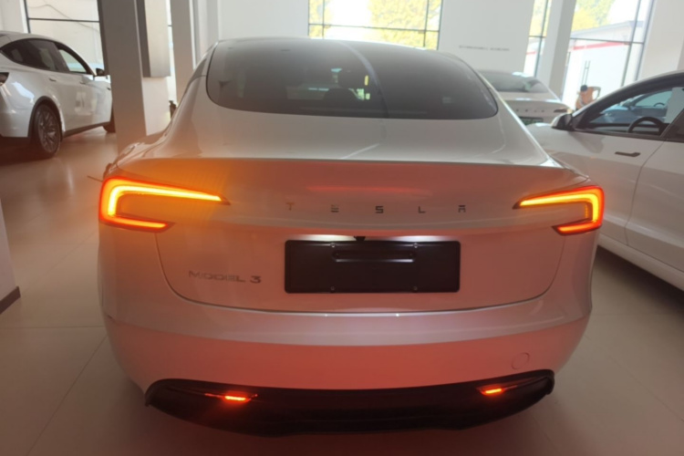 Tesla Model 3 2025 immagine di auto #6