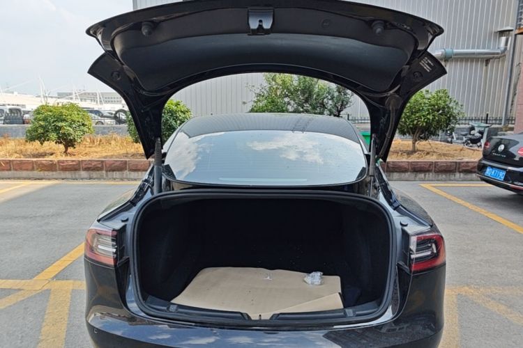 Tesla Model 3 2021 car image #19