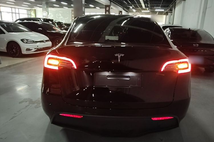 Tesla Model Y 2023 #6 Tesla Model Y 2023 car image #6