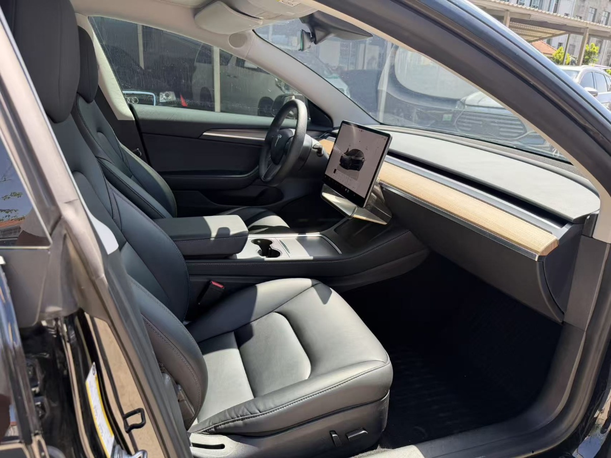 Tesla Model 3 2023 car image #9