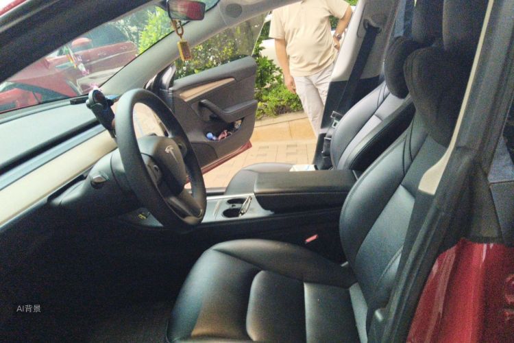 Tesla Model 3 2021 immagine di auto #17