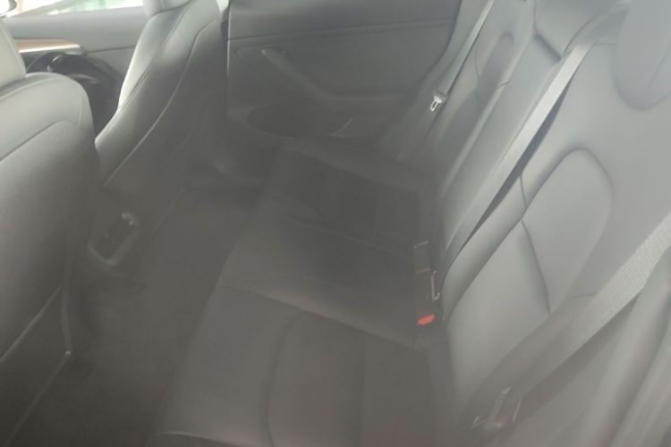 Tesla Model 3 2022 #17 Tesla Model 3 2022 car image #17