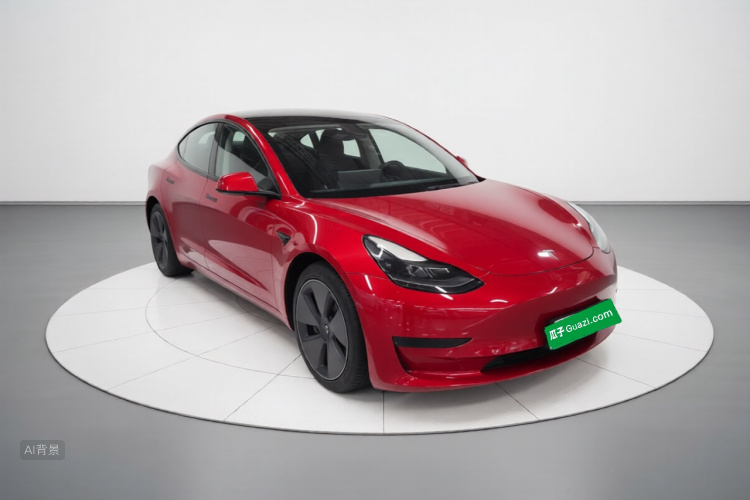 Tesla Model 3 2021 car image #4