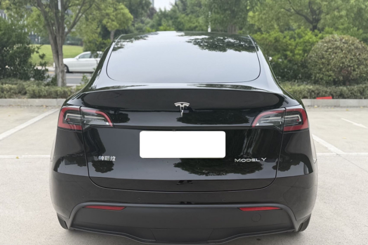 Tesla Model Y 2023 car image #8