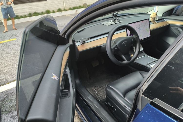 Tesla Model 3 2021 car image #18