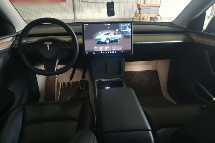 Tesla Model Y 2023 car image #10