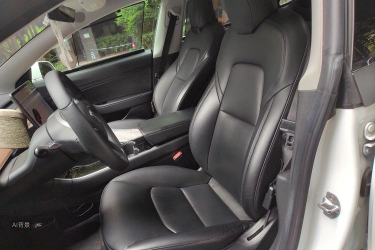Tesla Model 3 2020 #17 Tesla Model 3 2020 car image #17
