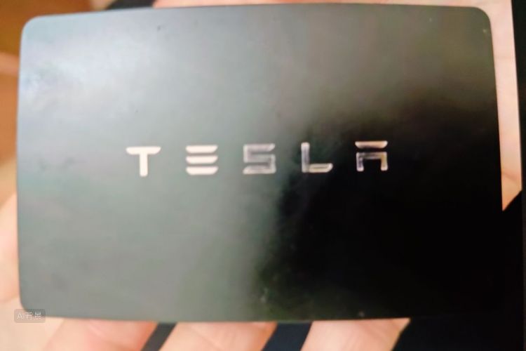 Tesla Model Y 2021 #10 Tesla Model Y 2021 car image #10
